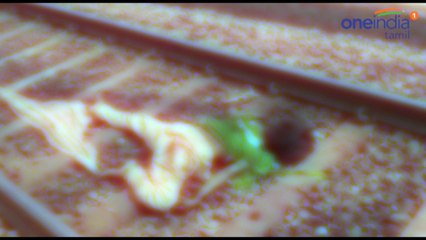 தண்டவாளத்தில் காதல் ஜோடி பிணம் திண்டுக்கல்லில் பரப்பரப்பு- வீடியோ