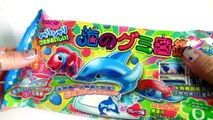 NEW Kracie Popin' Cookin' Gummy Candy Land おえかきグミランド Gummi Animals DIY グミランド