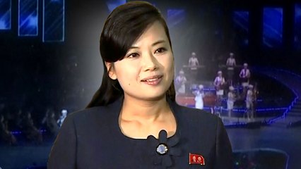 [속보] "北, 2월 8일 강릉, 11일 서울 공연 진행" / YTN