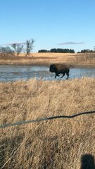 Bison Speed Skating Olympic Trials 2018
