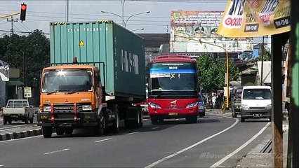 AGRA MAS Semut Merah Menuju ke Barat | Hunting Kartosuro
