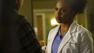 Grey's Anatomy Season 14 Episode 11 : Full [Don't Fear the Reaper] Streaming!!