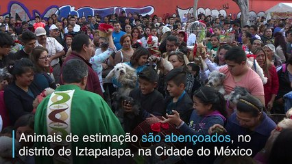 Bênção aos animais