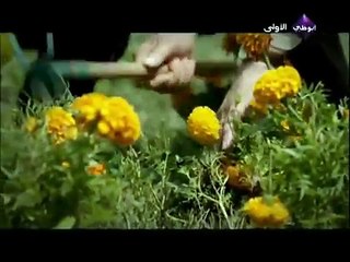 مسلسل أحببت طفلة - الحلقة 2