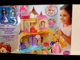 Sofia The First Magical Talking Castle with The Royal Family