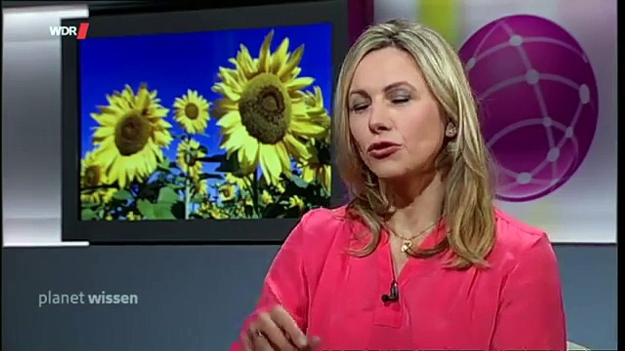 Planet Wissen - Achtsamkeit - Doku