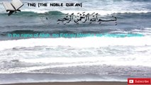Surah Fatiha| Surah Al-Fatiha| Surah alfatiha| Reciter Rashid alfazy| (THE NOBLE QUR'AN )