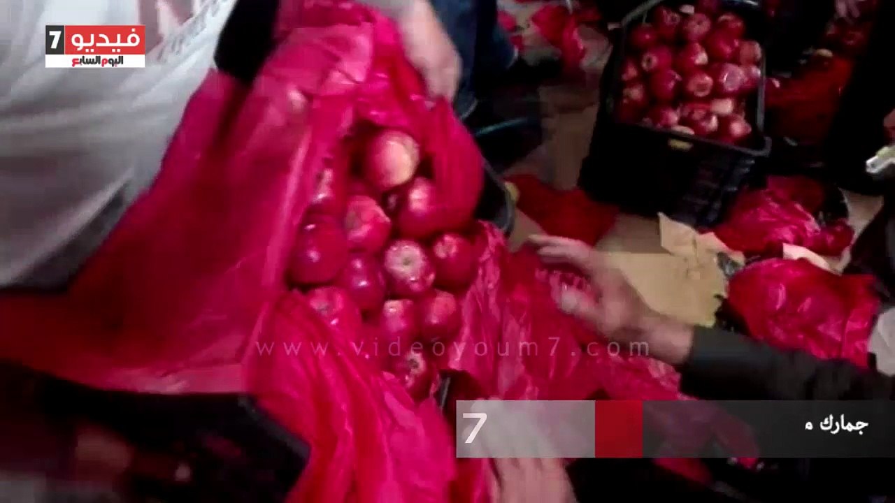 جمارك ميناء دمياط تحبط تهريب شحنة حشيش داخل حاو...