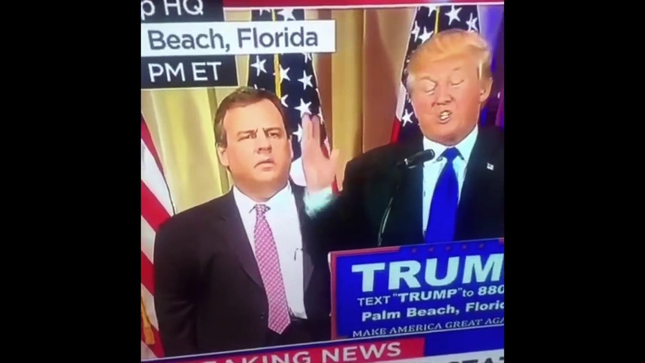 funny compilation that can lighten your day