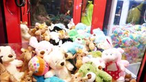 WE DESTROYED THAT CLAW MACHINE! - 15 Wins One Skill Crane