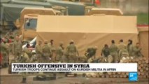 Turkish offensive in Syria: Troops continue assault on Kurdish militia in Afrin