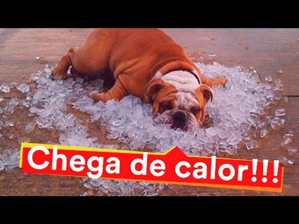 CHEGA DE CALOR DENTRO DE CASA!!!
