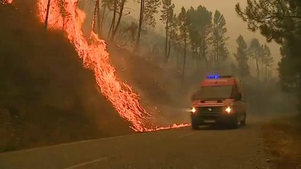 Eleven active wildfires rage in Portugal