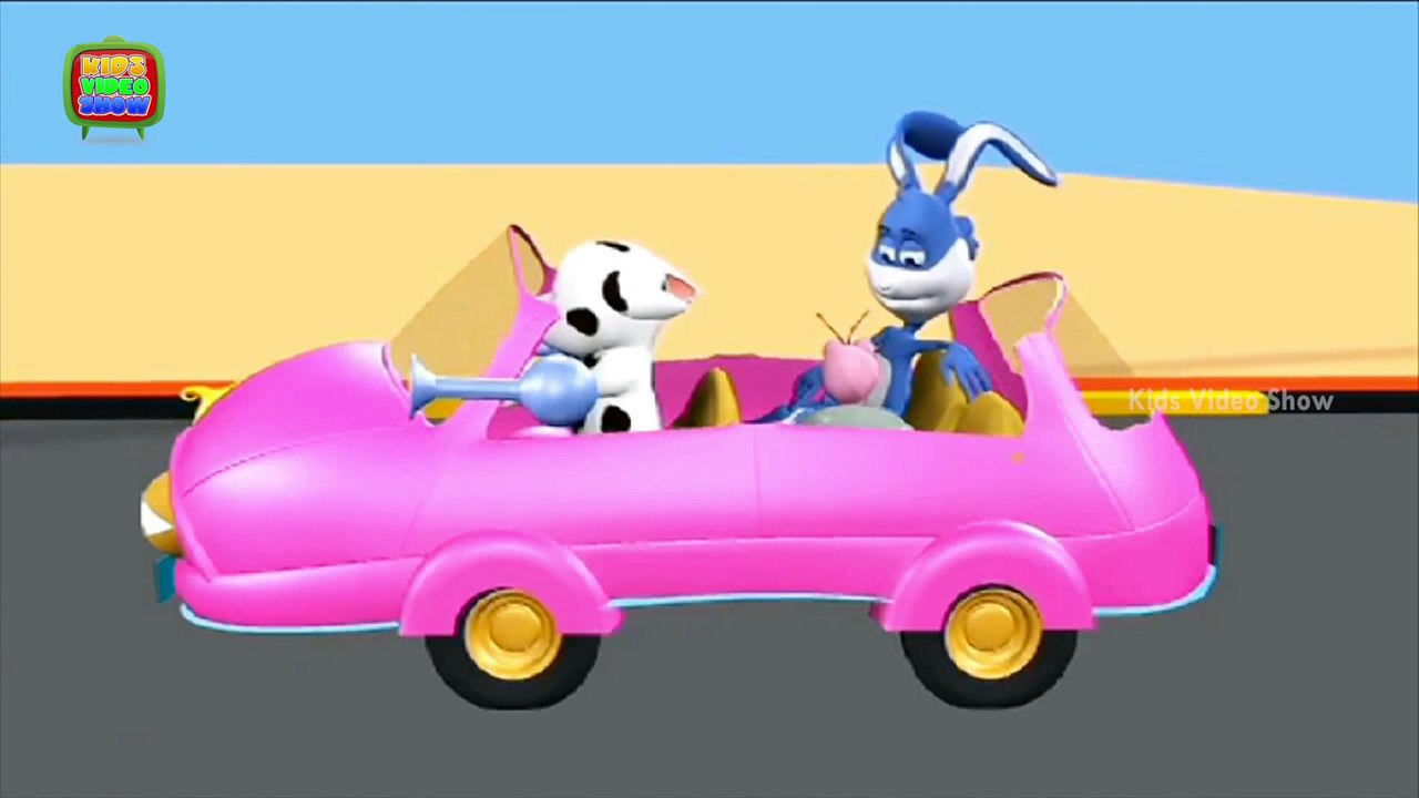 How Does Stethoscope Work    Interesting Facts About Stethoscopes