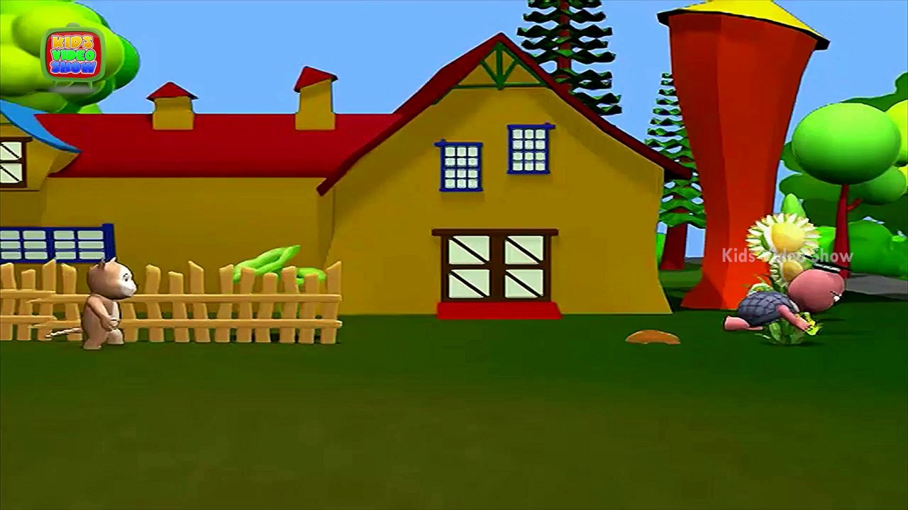 Interesting Facts About Plants   Why Do Potatoes Grow Underground