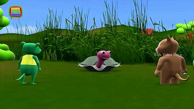 Interesting Trees Facts Why Do Trees Have Roots Kidsvideoshow