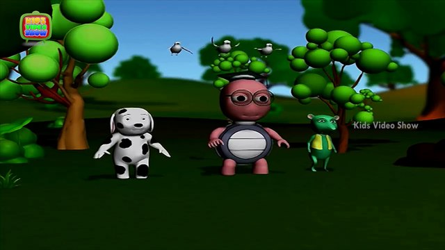 Why Do Birds Have Feathers Interesting Facts About Birds