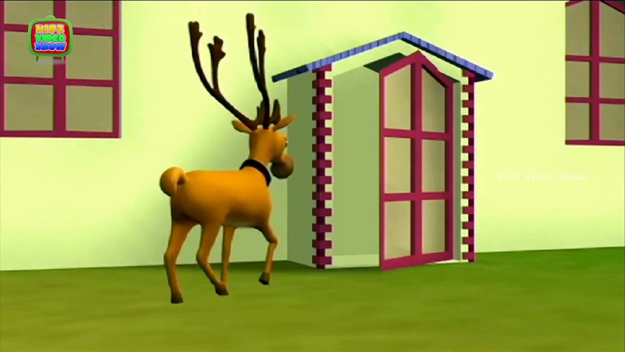 Why Do Flies Sit Upside Down on Ceilings Interesting Fact About Insects