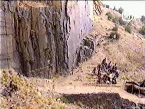 Osama bin laden diving