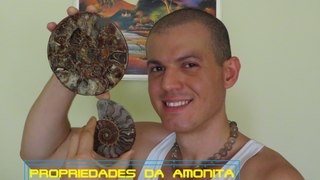 Amonita (Amonite) - Pedra e Fóssil de Força Vital e Prosperidade