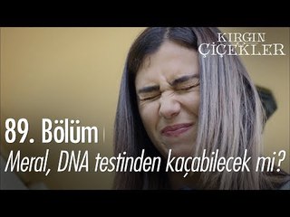Meral DNA testinden kaçabilecek mi? - Kırgın Çiçekler 89. Bölüm