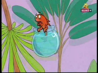 Kot Prot na wszystko odpowie w lot  - Nie ma jak noc