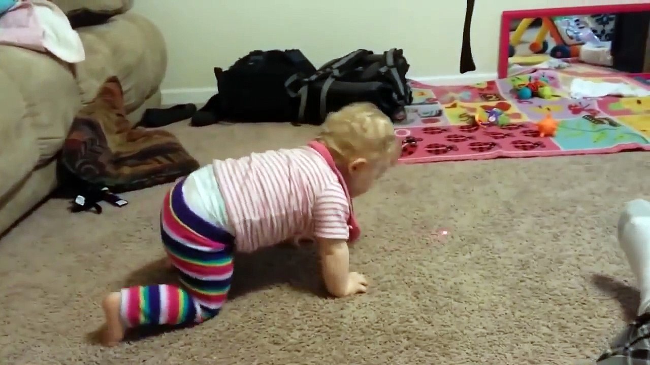 FUNNY Baby Chasing Laser Pointer - BEST Babies Video Compilation