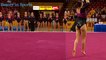 Women's College Gymnastics 6 - Beautiful Moments (2017)