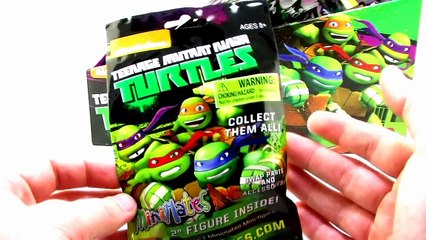 Nickelodeon Teenage Mutant Ninja Turtles MiniMates Blind Bag Figure Opening & Video Review