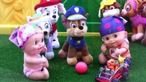 PATRULLA CANINA: LOS BEBÉS SE SUBEN AL TEJADO! RESCATE DE ALTURA! Casa de juguete paw patrol español