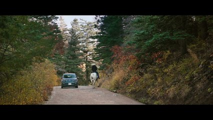 Trailer Un espacio entre nosotros - Descarga en la descripcion -tuspeliculashd-