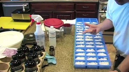 Making Melt and Pour Soap - Coconut Grove - Soap Making 101 Episode 1