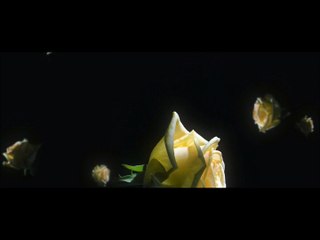 Bruno THIEVET : Autopsy -remix-