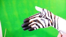 Zebra painted hand | Easy DIY art painting ✔