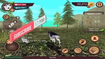 Dog Sim Online - Siberian Husky - Android / iOS - Gameplay part 18