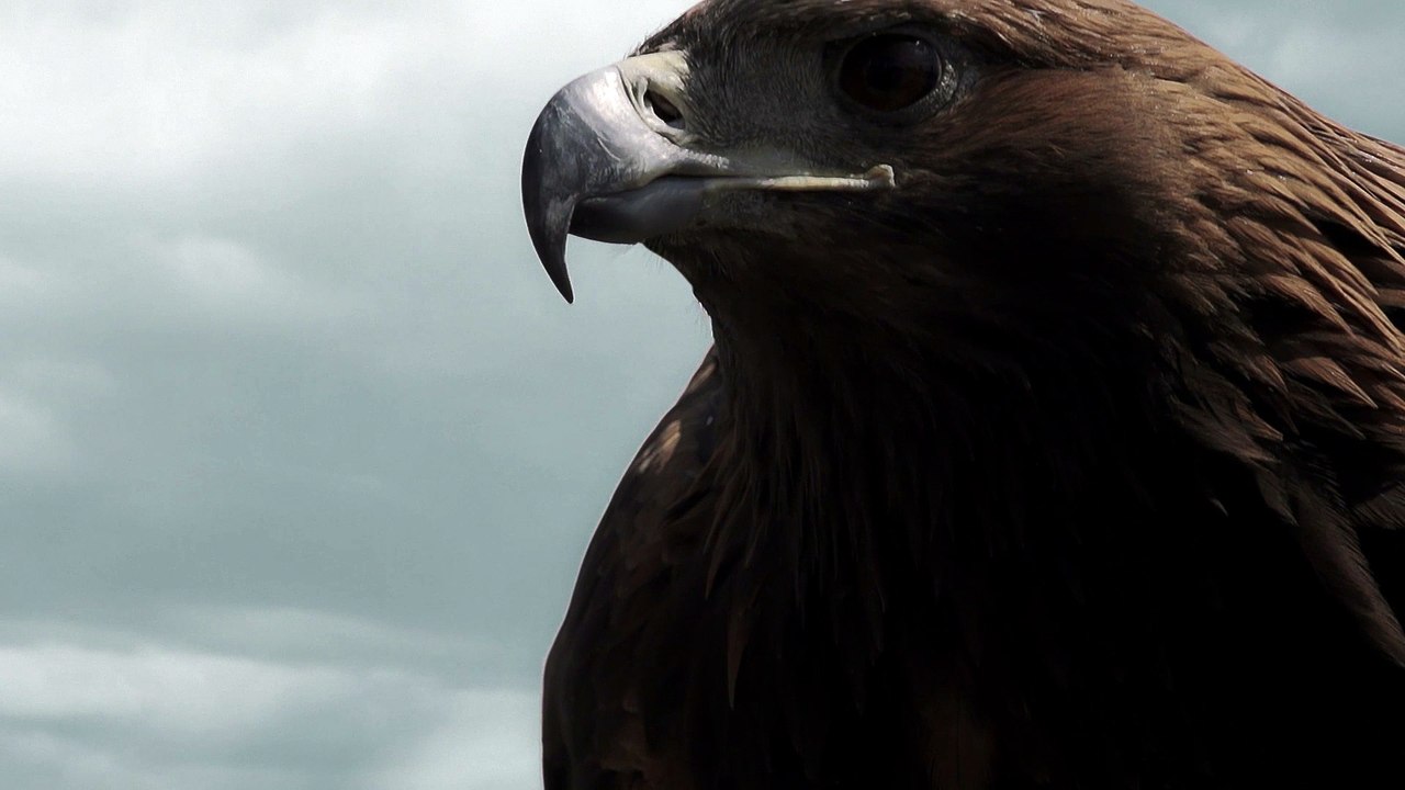 G4 렉스턴 TVC 15" / G4 REXTON TVC 15"