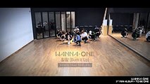 Wanna One (워너원) -  활활 (Burn It Up) Practice Ver.