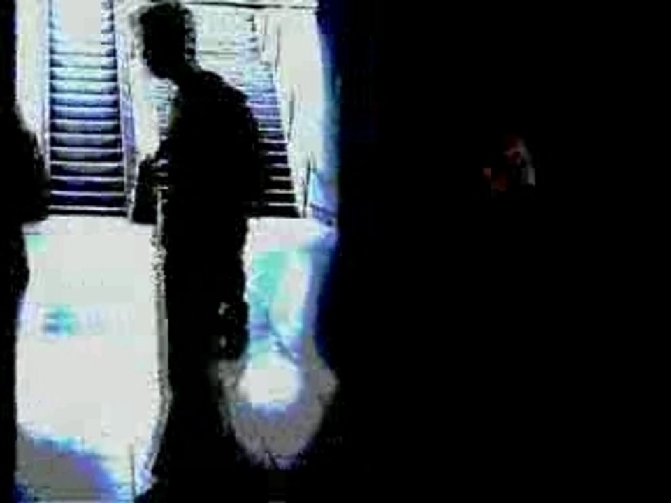 Team Heeler-City  -art n style-