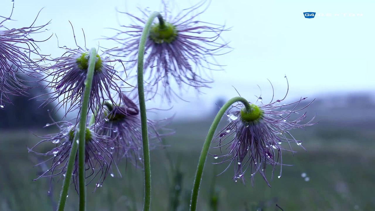 G4 렉스턴으로 보는 세상 / The world of G4 Rexton