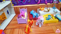 My Little Pony FIM La Leyenda De Twilight Libro 1 Ep 13 La Reina Pony Peligra!!