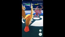 Pokémon GO Gym Battles Level 4 & 3 Gyms Squirtle Dratini Exeggcute Exeggutor Elekid Bulbasaur & more