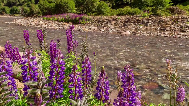 4K Video Ultra HD ❤ 60fps Epic Drone Footage Filmed in RAW!