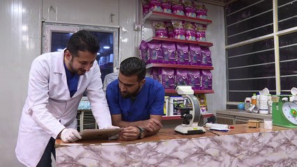 A Bagdad, des animaux des rues sauvés grâce aux réseaux sociaux