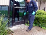 pest control in chennai,pest control services in chennai,pest control treatment in chennai, list of pest control service