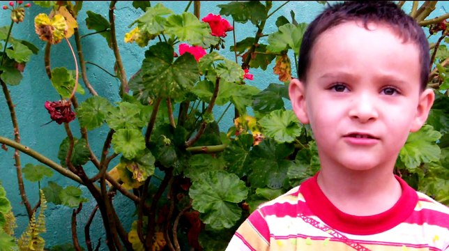 Música Campesina (Pregonero) - Jesús Mendéz - Al Reencuentro de los Chacaros - Jesús Méndez Producciones