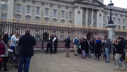 Woman Trying To Climb Over Gates Into Buckingham Palace