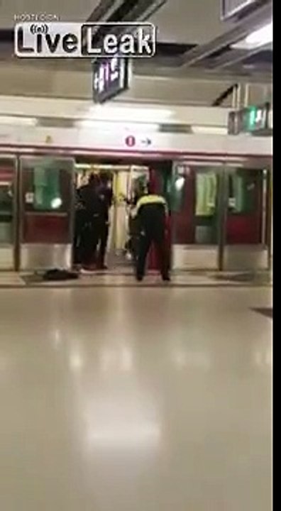 Subway fight