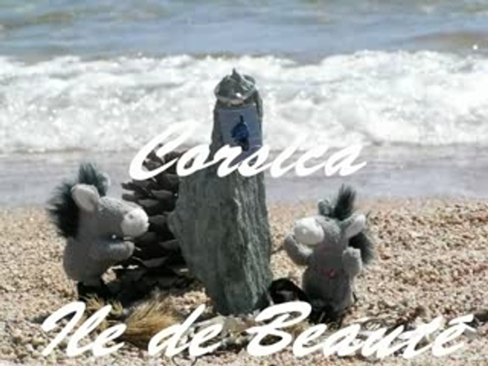 Corsica 2005