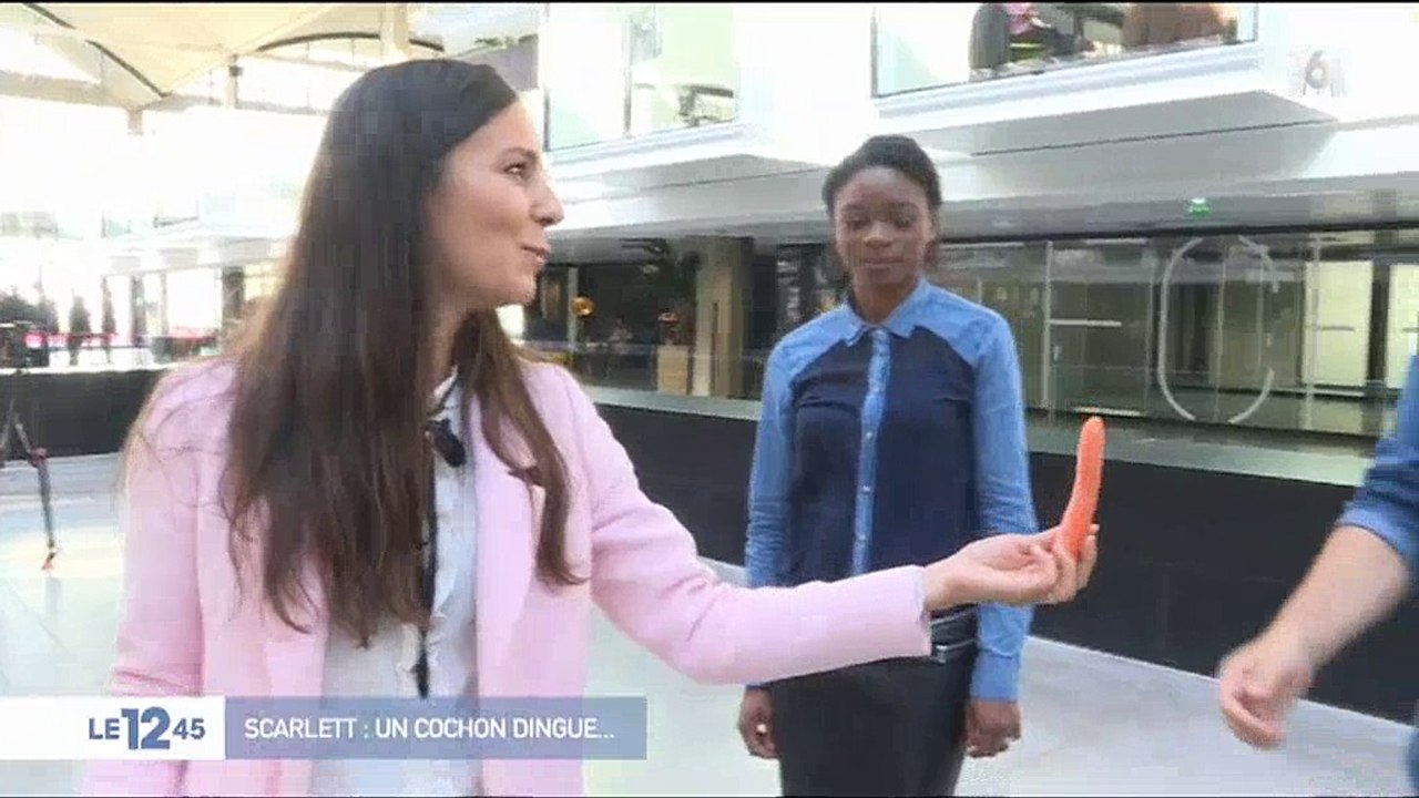 Des cochons pour aider et apaiser les salariés français ? Regardez