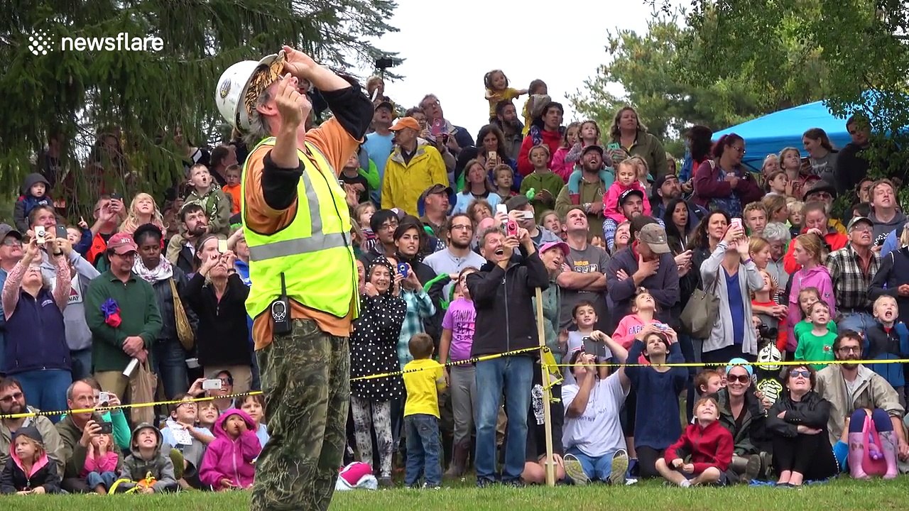 Americans drop massive pumpkins from crane onto cars